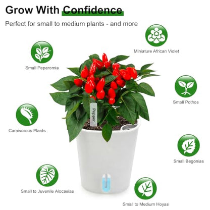 4" Self Watering Pots for Indoor Plants, 8 Pack Clear Plant Pots with Drainage, Plastic Nursery pots for Cuttings, Seedlings, Herb, African Violet, Water Level Indicator (8, 4") - size: 4"