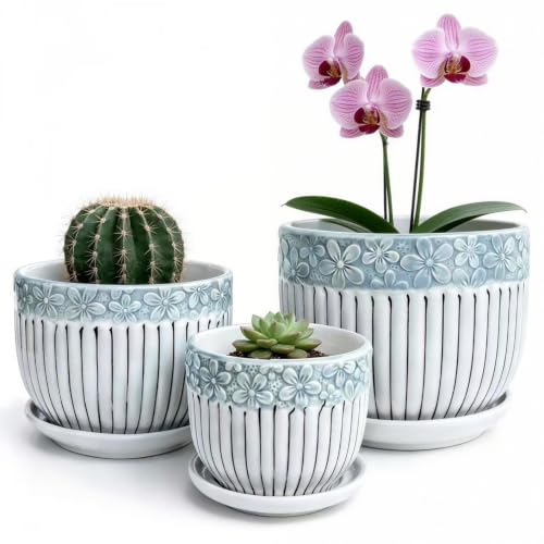 Vintage Flower Pots for Indoor Plant, Round Ceramic Plant Pots with Drainage Holes and Saucers, 6.7/5.2/3.9 Inches Retro Flower Planters Set of 3 - color: Vintage Lace
