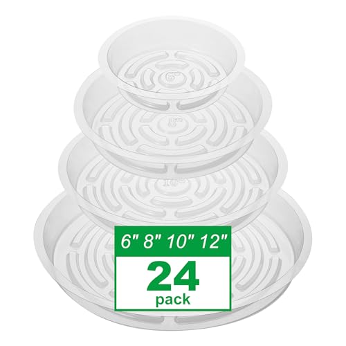 CATIFLIN 24 Pack Clear Plant Saucers - 6, 8, 10, 12 Inch Plastic Plant Trays for Pots, Flower Pot Saucers, Indoor & Outdoor Planter Drip Tray for Water Drainage & Protection - size: 6",8",10",12"- 24 Pack