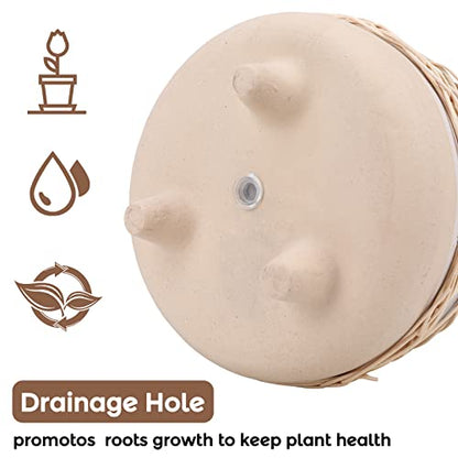 Ceramic Planter Pot for Indoor & Outdoor Plant, Flower - color: Beige Brown