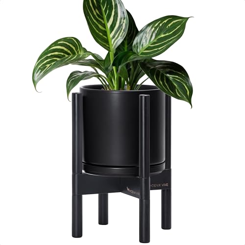 D'vine Dev Ceramic Pot with Ebony Wood Stand, Black, 8 in, 55-B-M-2 - color: Black Pot + Ebony Stand, size: 8 Inch