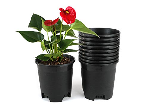 5.5 Inch Gardening Flower Pots 10-Pack Black Pot Liners 0.5 Gallon Nursery Pot Plastic Planters for Outdoor Indoor Plants with Drainage Holes - color: Black, size: 10 Pack 0.5 Gal