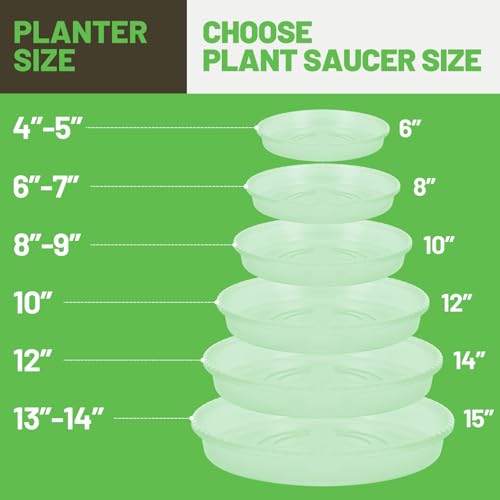 MUDEELA 6-Pack Plastic Plant Saucers Tray for Indoor, 12 Inches, Clear - size: 12" - 6 Pack