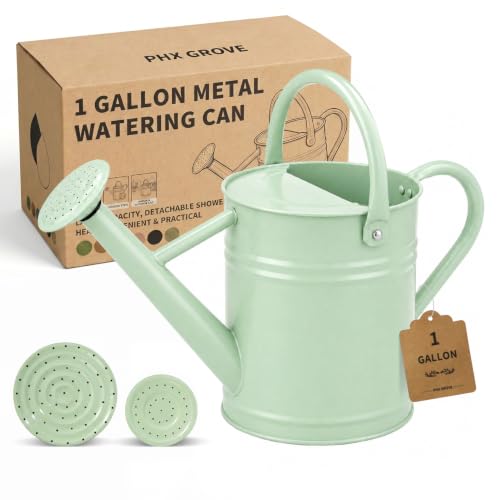 1 Gallon Metal Watering Can for Indoor Outdoor Plants, Pale Mint - color: Pale Mint
