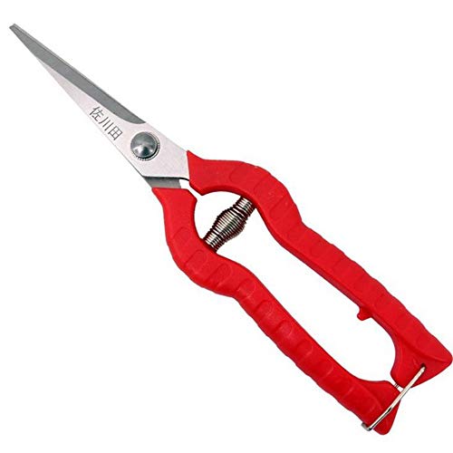 KATUR Garden Rose Pruning Shears Scissors, Professional Hand Pruners Straight Blades Stainless Steel for Flower Arranging, Plant Trimming, Fruit Harvesting (65mm Blade Length) - size: 65mm