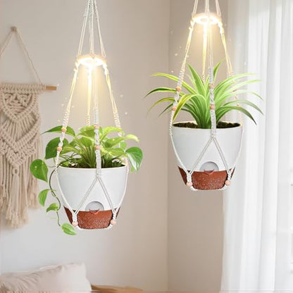 Hanging Planters - Help Plants Thrive in Low Light - color: Self Watering White(daylight), size: 10 Inch