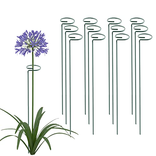 Thealyn 24 Inch 12 Packs Plant Support Stakes,Garden Single stemmed Plant Support Hoops, Plant Prop, for Flowers,Orchid, Tomatoes Peony Lily Rose (24 inch) - color: 24 inch-Green