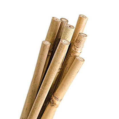 Natural First-Cut Bamboo Stakes, Pack of 10 (Approx. 3/8 Inch x 4 Feet)