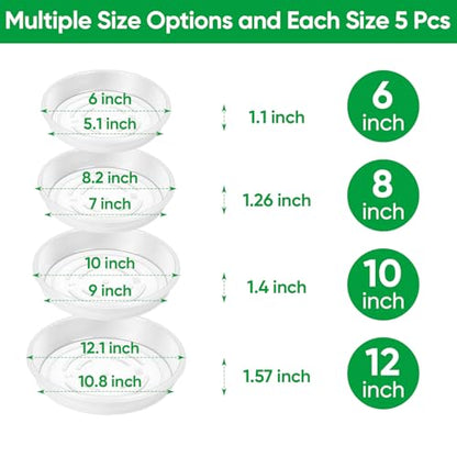 20 Pack Plant Saucer Tray, 6/8 /10/12 inch Heavy Duty Flower Pot Trays, Plastic Plant Saucer for Indoor & Outdoor Plants, Plant Trays to Catch Water, 5 Pieces of Each Size - size: 6/8/10/12 inch