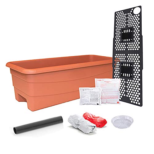 Novelty 80655 EarthBox Junior Organic Garden Kit, Terra Cotta - color: Terracotta, style: Organic