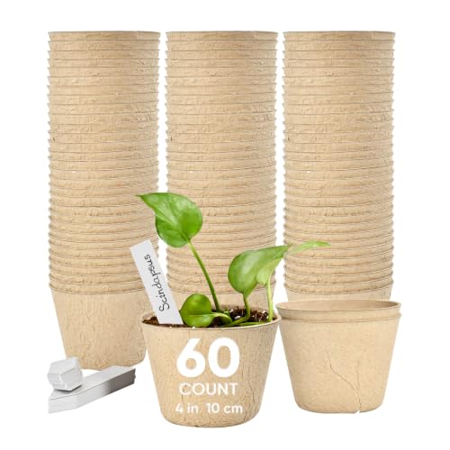 60 Pack 4 Inch Seed Starter Peat Pots with Plant Labels