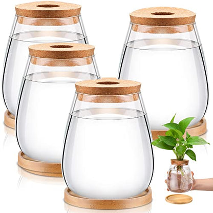 Nuanchu 4 Pcs Desktop Plant Terrarium Vase, Large