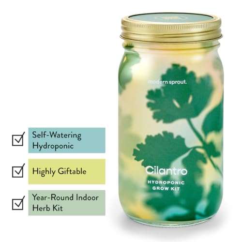 Modern Sprout Mason Garden Jar-Self-Watering Hydroponics Kit-Basil+Cilantro - color: Basil+cilantro, size: Garden Jars