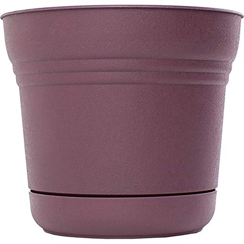 Bloem Saturn Planter with Saucer, 7", Passion Fruit (SP0729) - color: Passion Fruit, size: 7"