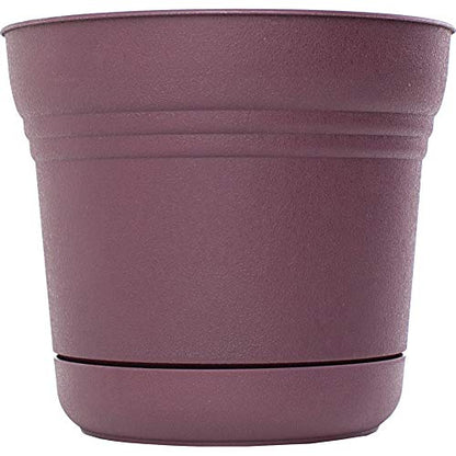 Bloem Saturn Planter with Saucer, 7", Passion Fruit (SP0729) - color: Passion Fruit, size: 7"