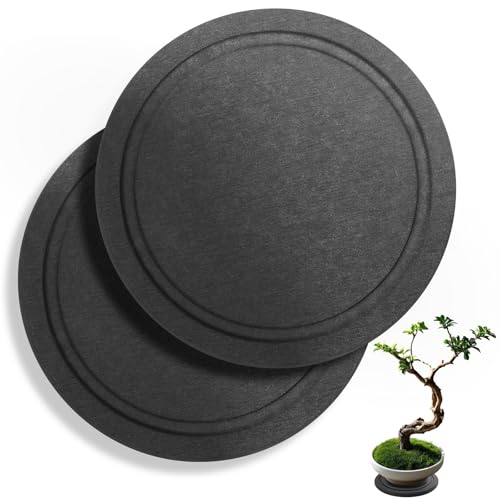 Augshy Plant Saucers, 2 Pack 10 Inch Diatomaceous Earth Instant Dry Tray - size: 10 Inch
