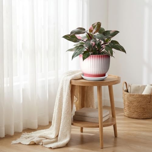 8 Inch Ceramic Plant Pot, Pink + White - color: Pink + White, size: 8 Inch(1 PCS)