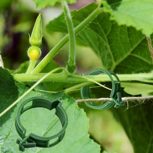 Winmany 100PCS Plant Support Garden Clips Tomato Supports/Connects Plants/Twine/Vines Trellis/Cages Vine Vegetable Fastening Clip Grafting Tools Make Grow Upright and Healthier - color: Green