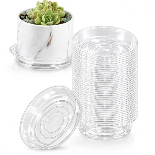 40 Pack 4 Inch Plant Saucer Clear Plant Saucers for Indoors Flower Pot Saucers Small Plant Plate Dish Plant Pot Saucers Plant Trays for Pots Bulk - color: Clear, size: 4 inch: 40 pcs