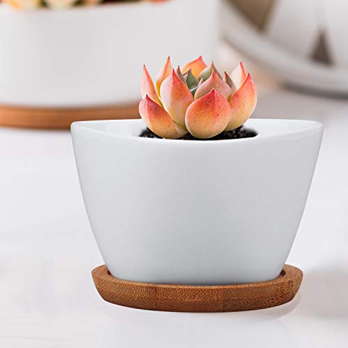 Succluent Pots,12 Pack Small Flower Pots,Planter Pots with Drinage
