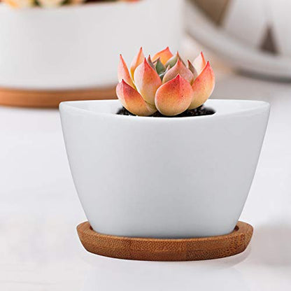 Succluent Pots,12 Pack Small Flower Pots,Planter Pots with Drinage