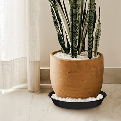 6 Pack Plant Saucer 14 16 18 20 22 Inch Plastic Plant Tray, Sturdy and Durable Flower Pot Container Accessories Plant Pot Saucers for Indoor and Outdoor (14 Inch, Black) - size: 14 Inch