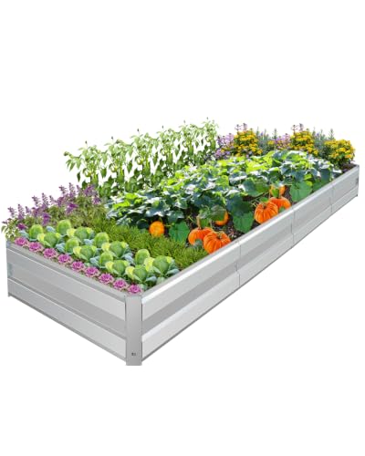 Galvanized Raised Garden Bed Kit, 10.9x3x1FT Metal Raised Garden Beds for Vegetables - size: 10.9*3*1FT