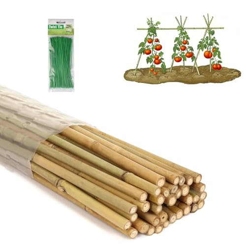 4 Ft Bamboo Stakes with 100 Twist Ties Natural Bamboo Garden Stakes for Tomatoes Cucumber Grapes Pole Beans Trees Potted Dahlia Flowers and Climbing Plants - Pack of 25 - size: 4 FT-25PACK & Ties