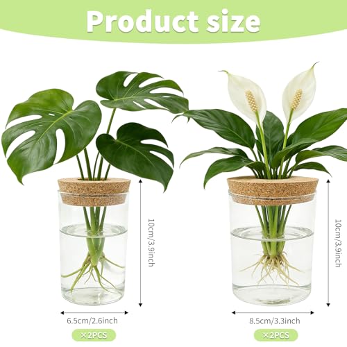4 Pack Glass Plant Propagation Station,Desktop Vases for Home Office Decor