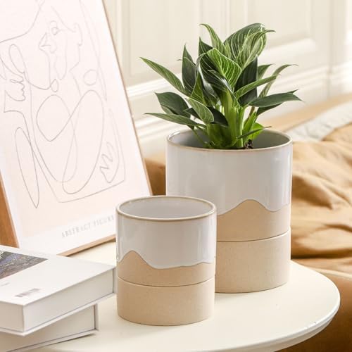 Nihow Self Watering Ceramic Planter, 4.5+6 Inch, White & Nature - color: White & Nature, size: 4.5"+6" Self Watering