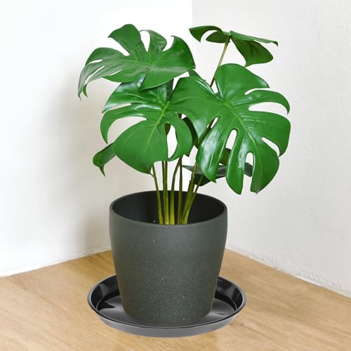 QWORK 12" Plant Saucers, 6 Pack Plastic Round Plant Tray for Pots, Garden Plate Bowls, Trays for Planter, Black