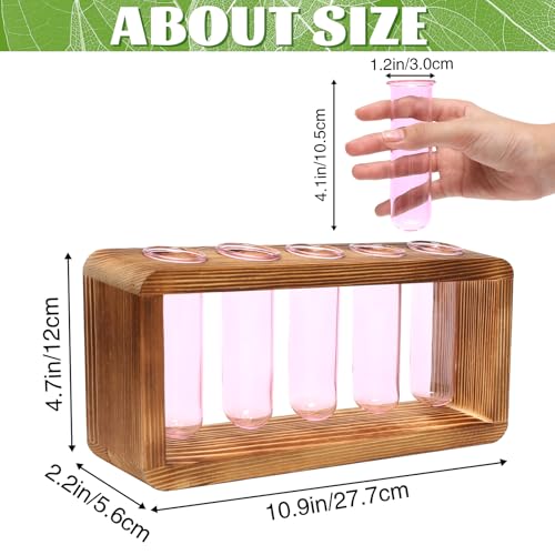 Glass Plant Propagation Station with 5 Test Tubes Colorful Planter Vase - color: Pink