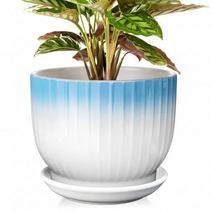 8 Inch Ceramic Plant Pot, Blue + White - color: Blue + White, size: 8 Inch(1 PCS)