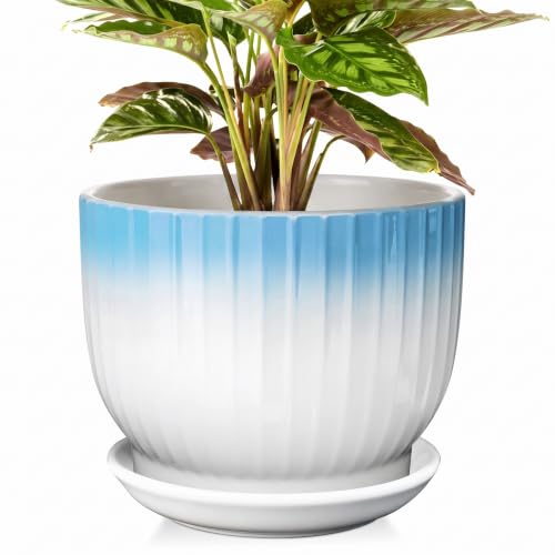 8 Inch Ceramic Plant Pot, Blue + White - color: Blue + White, size: 8 Inch(1 PCS)