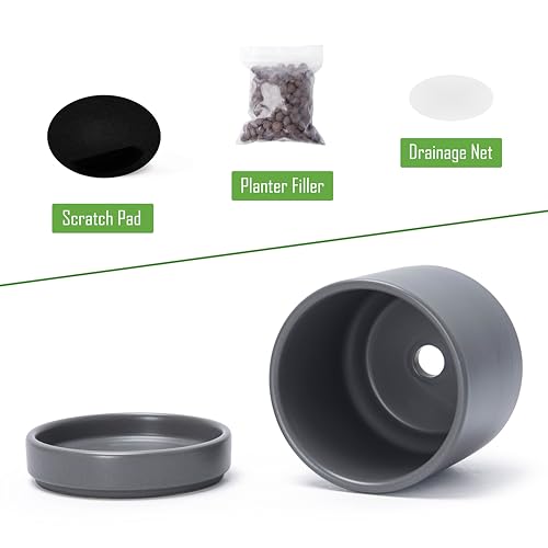 D'vine Dev 2-Pack Ceramic Pots with Saucers, Grey, 4.7 in, 94-V-B-3 - color: Gray, size: 4.7 Inch