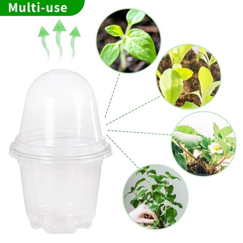 JOPY 30 Pack 4 Inch Plastic Nursery Pots with Humidity Dome for Plants Clear Seed Starter Pots Seedlings Planting Pots for Garden Indoor and Outdoor Small Planter Containers with Drainage Holes - size: 4 inch-30Pcs
