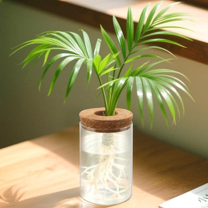 PINGEUI 6 PCS Glass Planter Vase, Plant Propagation Terrarium with Cork Lid, Plant Propagation Jars for Succulents, Herbs