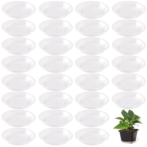 30 Pack Plant Saucer 4 Inches Plastic Drip Trays to Catch Water, Clear - color: Clear, size: 4 inch