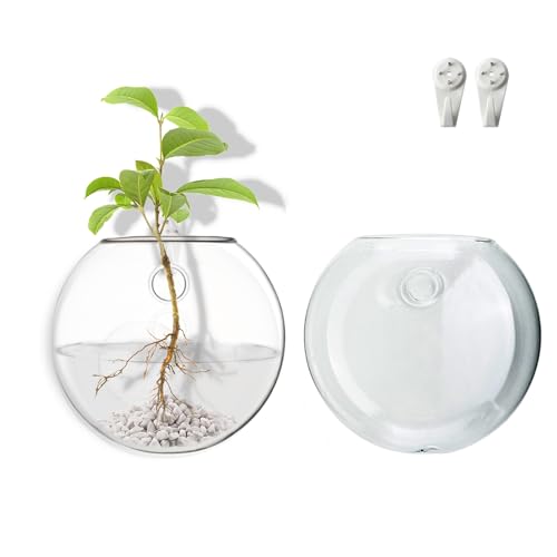 Wall Mount Plant Propagation Station - Clear Hydroponic Glass Vase, Oblate Planter for Indoor Plants | Perfect for Home, Office, Bathroom Decor | Gift for Plant Lovers (2)