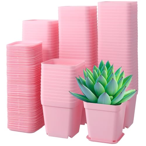 HOIGON 100 Pack 2.75 Inch Pink Square Nursery Pot, 7cm Thickened Plastic Nursery Pots with Drain Holes Trays, Small Square Planting Containers Bulk Set for Seedling Flower Tomatoes Basil - color: Pink