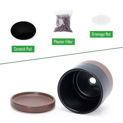 D'vine Dev 2-Pack Ceramic Pots with Saucers, Black/Tan, 3.5 in, 94-V-A-7 - color: Black/Speckled Tan, size: 3.5 Inch
