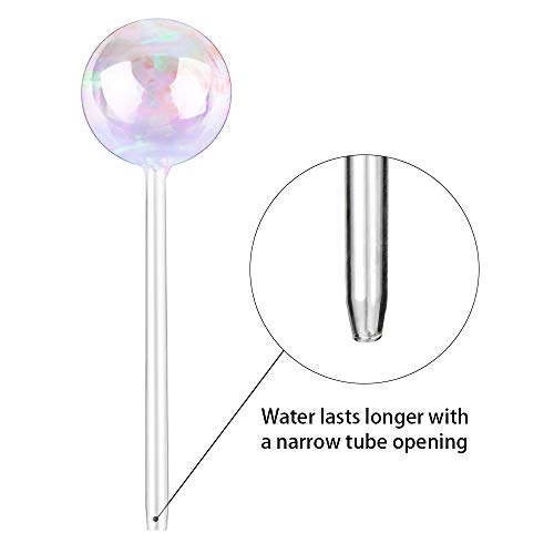 Tomorotec 2Pcs Rainbow Glass Plant Watering Globes, Self Watering Spikes - color: Iridescent 2-Pack