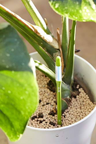 Sustee Aquameter, Set of 5, Plant Soil Moisture Sensor (Green, Medium) - size: Medio