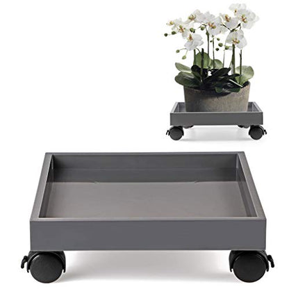 Skelang Square Wheeled Plant Dolly - ABS Planter Trays, Heavy Duty, Load Capacity 110 Lbs - size: Pack of 1 (11")