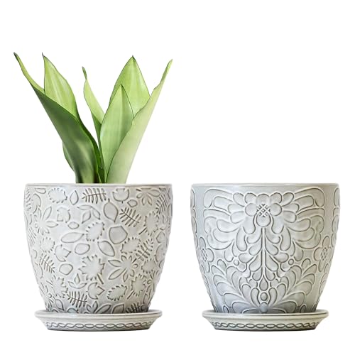 6 Inch Ceramic Planter Pots with Drainage Hole and Saucers for Indoor Plants, Garden Pots for Succulent, Orchid, and Flower - Set of 2 - color: Retro White, size: 6Inches-Set of 2