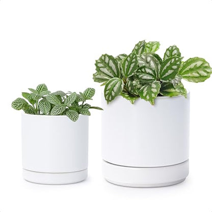 D'vine Dev 2-Pack Ceramic Pots & Saucers, White, 3.5/4.7 in, 94-G-XS-1 - color: White, size: X-Small