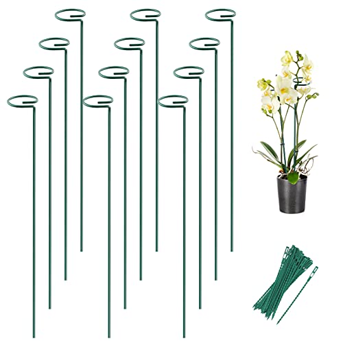 12 Pack 24 Inch Plant Support Stakes for Outdoor Plants and Indoor Flowers