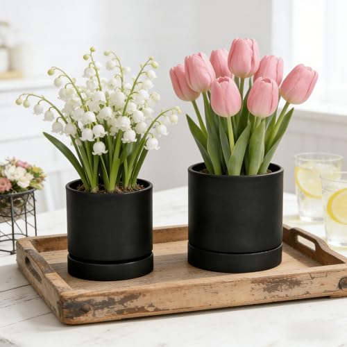 2pcs Plant pots, self Watering pots for Indoor Plants (Black, 4.7in+6in) - color: Black, size: 4.7in+6in