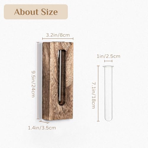 Wood Wall Vase with Glass Tube for Plant Propagation - color: Natural