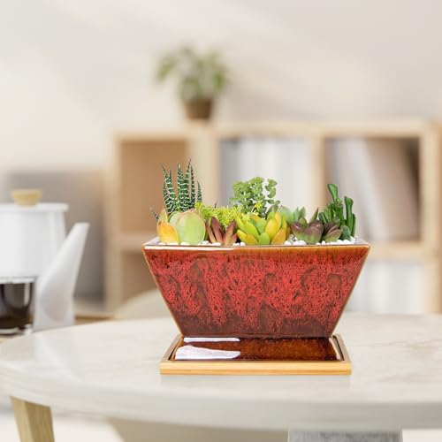 ARTKETTY Succulent Pots - 7 Inch Large Plant Pots with Drainage Tray - color: Red With Tray